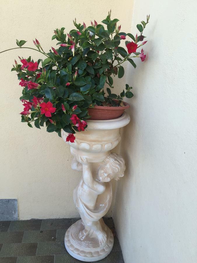 B&B Dolce Casa Panicarola Extérieur photo